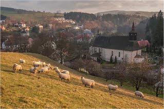 Klášterecký kostel s ovečkami